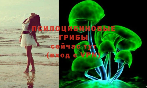 хмурый Болохово